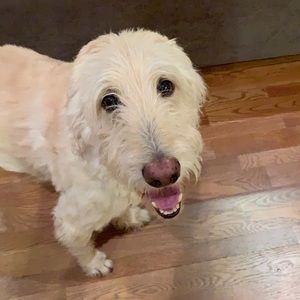 Meet your Posher, Spencer